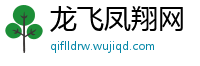 龙飞凤翔网